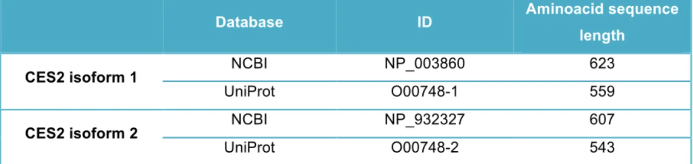 Table  4.2:   Available  data  present  in  tw o  different  databases  regarding  the  tw o  C ES2  isoform s  