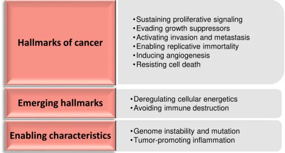 Figure 1.3  –  Hallmarks, emerging hallmarks and enabling characteristics of cancer. Adapted from Hanahan  and Weinberg 2011