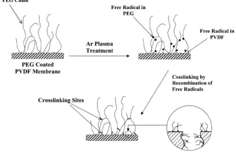 Figure 1.5 illustrates an example of a mechanism of plasma surface grafting of PEG onto PVDF  membrane: 