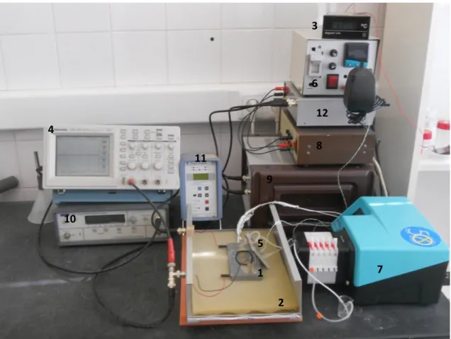 Figure 2.4 Piezoelectric Biosensor apparatus  