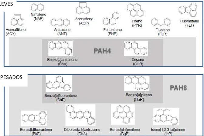 Figura 3 - Representação da estrutura molecular dos 16 PAH’s considerados poluentes prioritários pela EPA (adaptado de [9]) 
