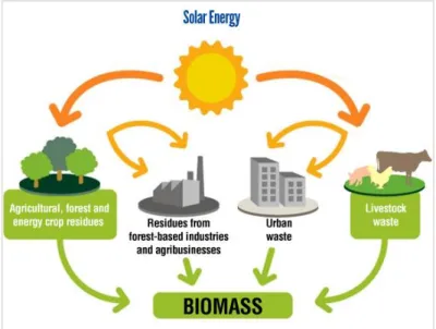 Fig.  1.1.  -  Representation  of  Biomass  sources:  Agricultural  and  forest  residues,  industrial  residues, urban waste and livestock waste (Adapted from Kunakawan Group 8 )