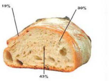 Figura 2.8 - A variação de humidade dentre nas diversas camadas de um pão cozido.  