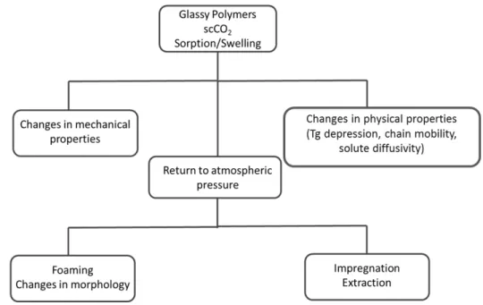 Figure 1.10- General scheme of the effects of scCO 2  foaming in polymers (adapted from  75 )