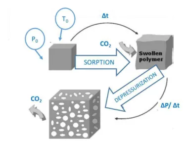 Figure 2.1- Schematic representation of the SCF foaming process of a polymer (adapted from  81 )