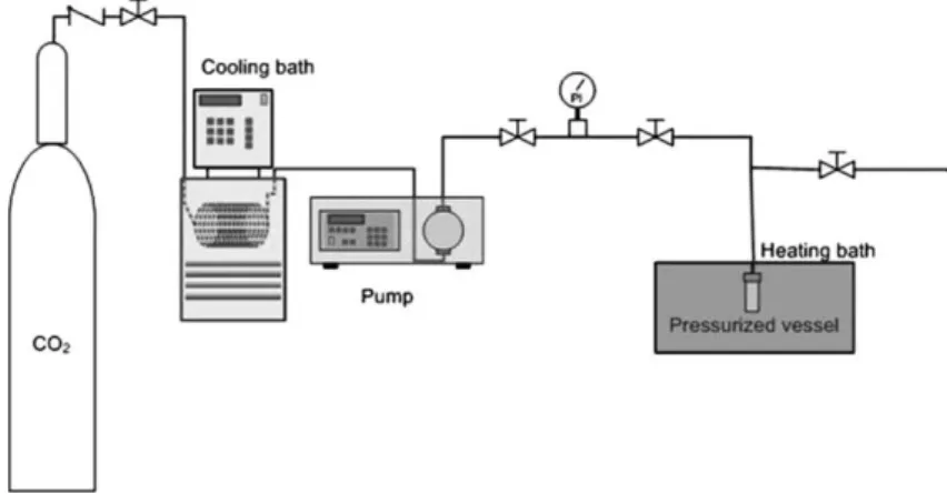 Figure 3.1- Schematic of the experimental apparatus used for the sorption measurements