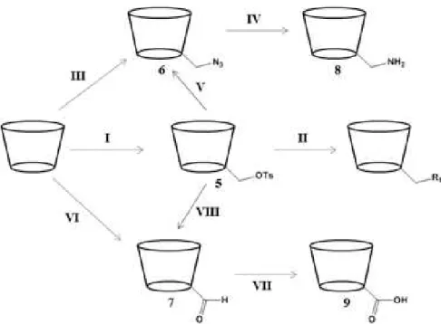 Figure 1.8: Summary of several pathways for the monosubstituion at 6-position of CDs. R 1 = I - , N 3 - ,  alkyl