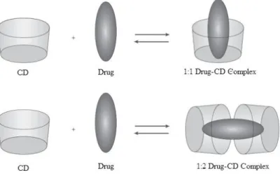 Figure 1.12: Schematic illustration of the association of free CD and drug to form drug-CD complexes