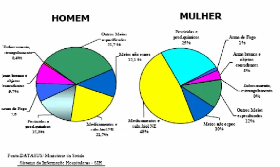 Figura 2. Percentual das internações por suicídios por gênero e por agrupamento. Bra- Bra-sil, 2003