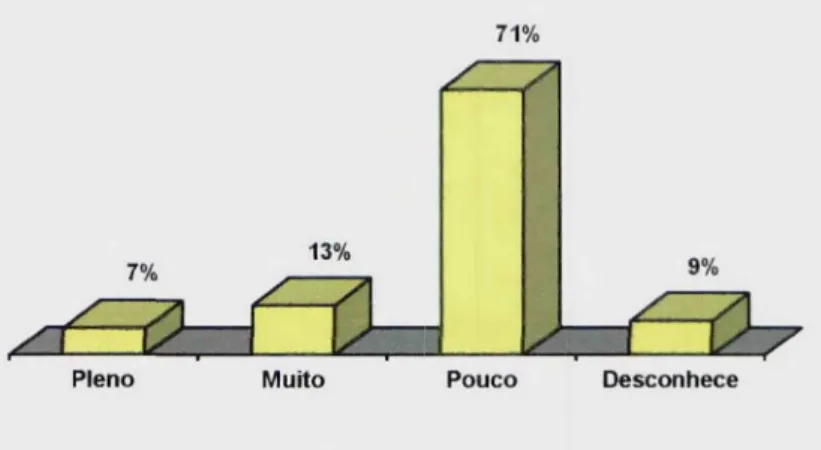 Ilustração 6. Conhecimento que o grupo de respondentes possui com relação às atividades desenvolvidas pelo Serviço Social da Empresa