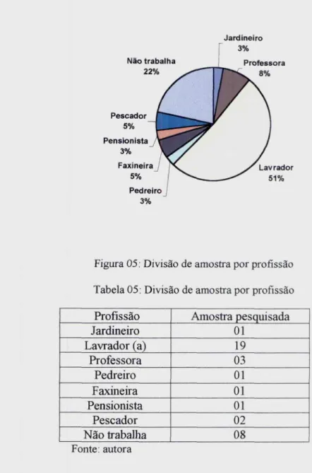 Figura 05: Divisão de amostra por profissão Tabela 05: Divisão de amostra por profissão Profissão Amostra pesquisada