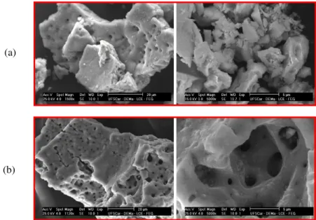 Figura 3: Micrografias obtidas por MEV das amostras: (a) FNi e (b) FNiS, nas escalas de 20 µm e 5 µm