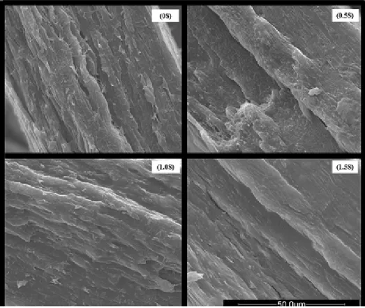 Figure 1. Electron micrographs of films (fractures) containing different levels of sericin.
