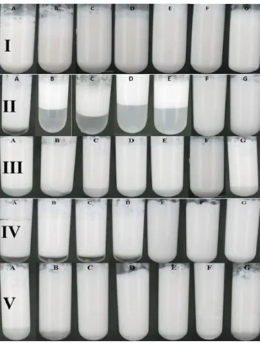 Figure 2. Visual appearances of o/w emulsions containing 10% v/v coconut oil and solutions at the seventh days of quiescent storage  after their formation, when: (I) 3% w/v Lf; (II) 3% w/v OVA; (III) 2.25-0.75% w/v OVA:Lf; (IV) 2.25-0.75% w/v Lf:OVA; (V) 1