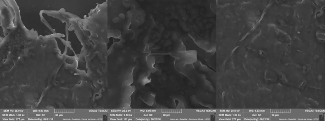 Figure 9. Micrography of M15-35-50 before biodegradation using Bartha Respirometer.