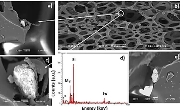Figure 10. Composite images (a, b, c and e) obtained by scanning electron microscopy and EDS spectrum (d) of mineral particle (whiter  particle).