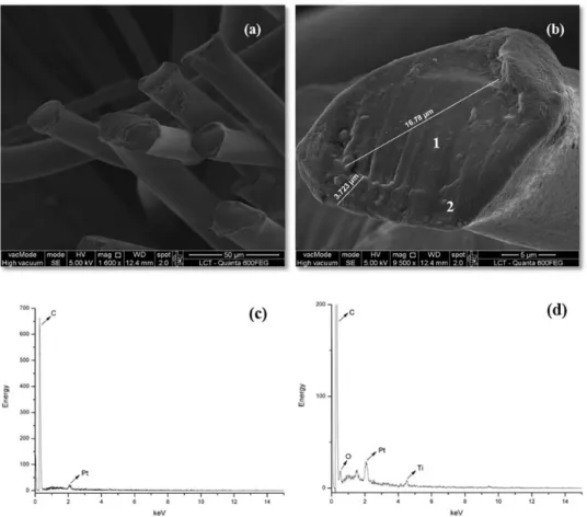 Figure 1. SEM images and EDS spectra of 3 denier PE/PP bicomponent fiber: (a) SEM micrograph of fibers; (b) SEM micrograph of  individual fiber cross section with width of core and sheath; (c) EDS spectrum of region 1(core); (d) EDS spectrum of region 2 (s