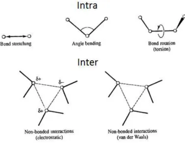 Figure 1.5  –  Representation of the deferent types of interaction that occur intra and inter molecular  level