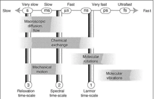 Figure 1  –  Representation of the most important NMR timescales. Reproduced from reference  4 