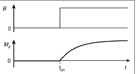 Figure  6  -  The  build-up  of  longitudinal  spin  magnetization,  after  the  magnetic  field  is  turned  on