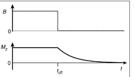 Figure 7 - The decay of longitudinal spin magnetization, after the magnetic field is turned off