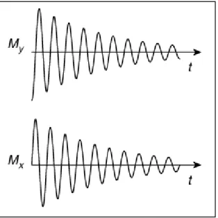 Figure 11 - Decay and oscillation of the transverse magnetization. Reproduced from reference  4 