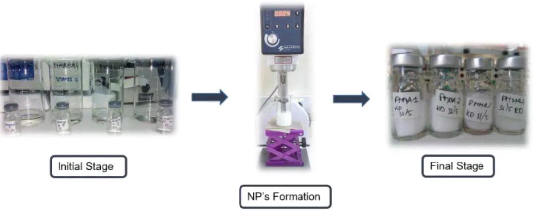 Figure 10: NPs production process involves different steps to obtain the final product