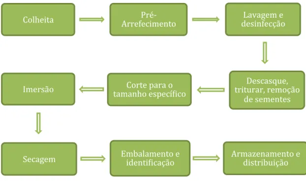 Figura 1.1 - Esquema geral da produção de hortofrutícolas minimamente processados   (adaptado de James &amp; Ngarmsak, 2011) 