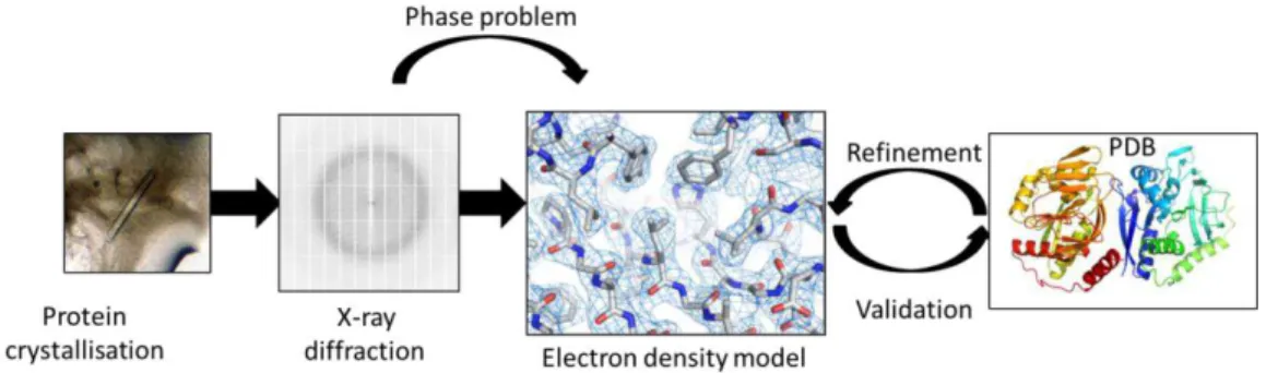 FIGURE I.1 - X-ray protein crystallography process overview. The description is detailed on the text above