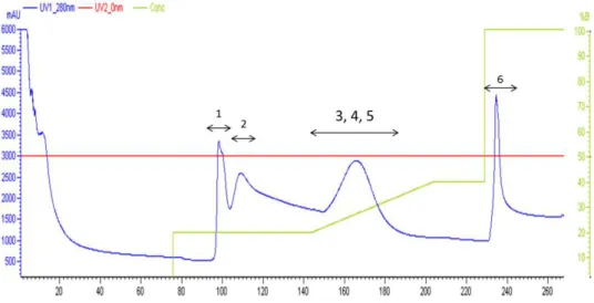 FIGURE  II.10  -  Typical  chromatographic  profile  of  N-His 6 -Sumo-Yps_CSD  after  the  IMAC  purification  step