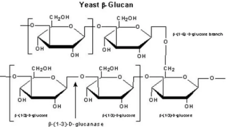 Table 1.1: Polymeric product from Chitin-Glucan derivative in the market 