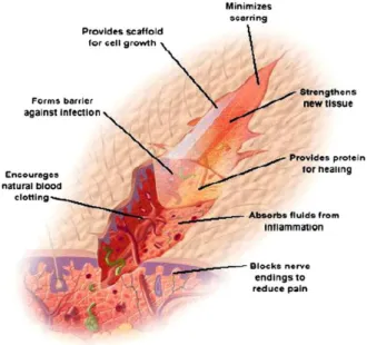 Fig. 1.6: Schematic representation of the required properties of wound dressing material [5] 