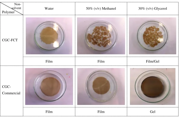 Fig. 3.4: Polymeric structures, produced from CGC polymers in different non-solvents 