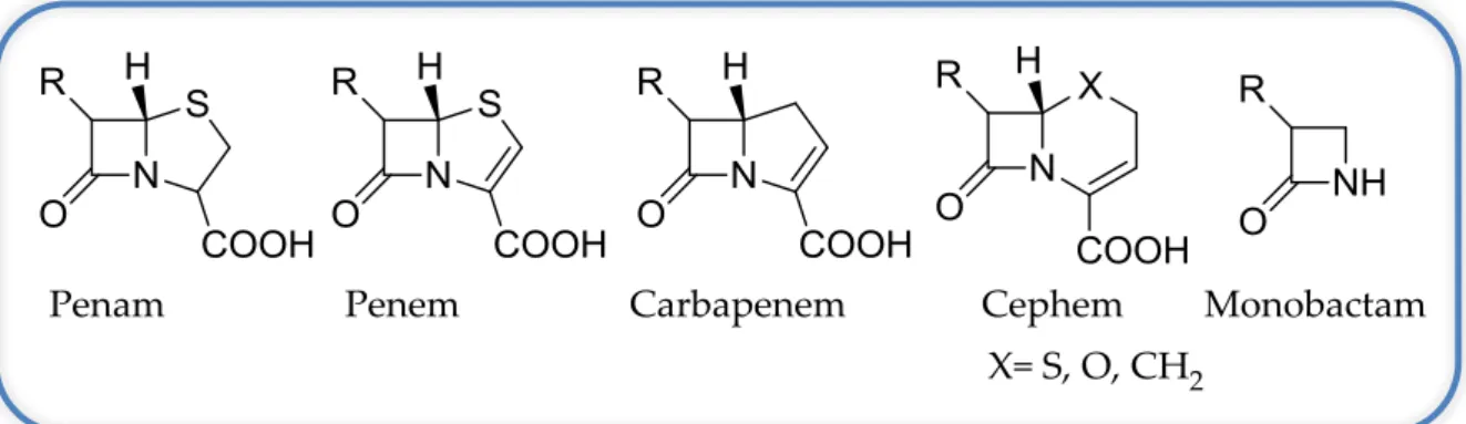 Figure 2.1 General strutures for the five relevant ring strutures of beta-lactams. 