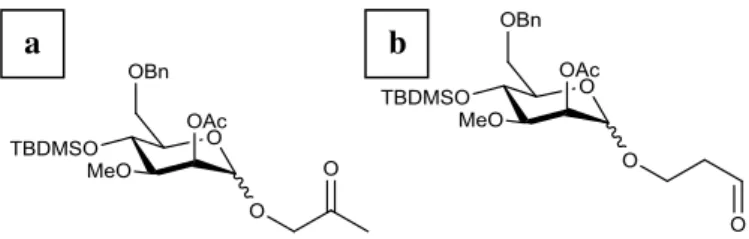 Figure 2.9 –  Two possible products, which result from the Wacker oxidation of the allyl group