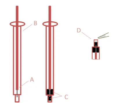 Figure  2.5: Scheme of the ion-selective electrode construction of solid contact.  A: 