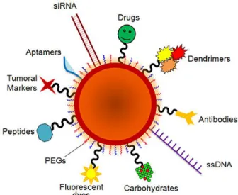 Figure 1.5 Schematic representation of an AuNP with various ligands (Conde et al., 2014)