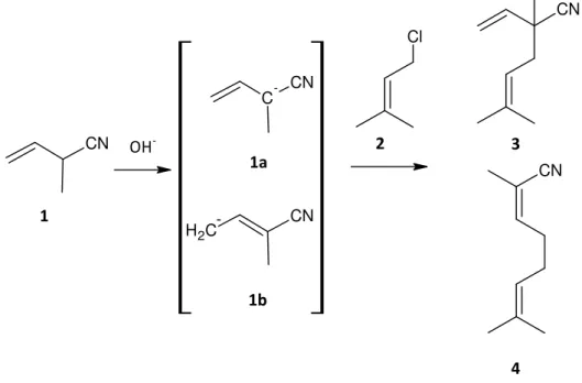 Figure 2:   Alkylation   of   2 ‐ methyl ‐ 3 ‐ butenenitrile   with   prenylchloride    