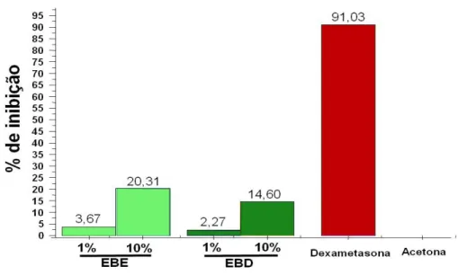 Figura I.2.1 Efeito do tratamento com extracto etanólico - EBE (1% e 10%) e de diclorometano  –  EBD (1% e 10%)  de  Solanum  cernuum  Vell,  dexametasona  (0,4%),  acetona  (controle  negativo)  no  ensaio  do  edema  de  orelha  induzido em ratos por óle