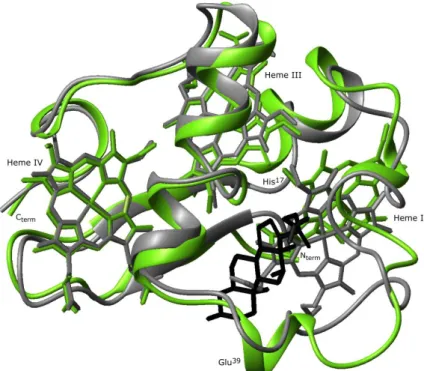 Figure  5  -  Comparison  of  PpcA  lowest  energy  solution  structure  (PDB  2LDO)  [27]  with  PpcA  crystal  structure  (PDB  1OS6)  [19]