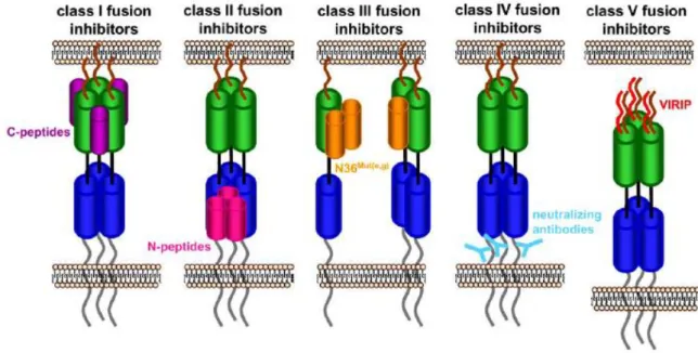 Figure 1.7 - Classes of HIV-1 fusion inhibitors. 