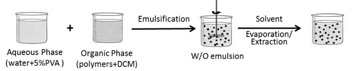 Figure  7  -  Schematic  representation  of  the  experimental  protocol  for  particles  preparation  (Adapted  from Bettencourt and Almeida, 2012)