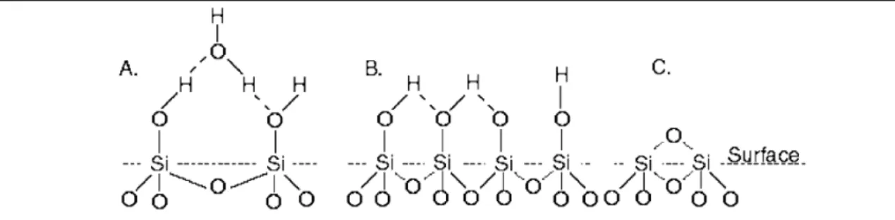 Figure 2-1: Schematic representation of the types of functional groups that occur on the silica  surface (A) hydrated and (B) anyhydrous silanol groups are associated with the hydroxylated  surface, whereas (C) siloxane-dehydrated groups occur mainly on th