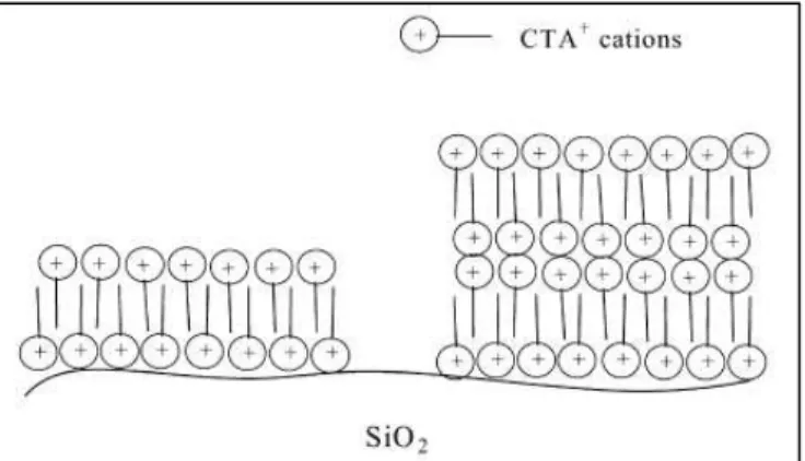 Figure 2-10: Simplified scheme of CTAB ‘tail to tail’ bilayer and multilayer formation  on SiO 2 -water interface [50]