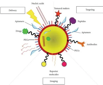 Figure  1.4  –  Schematic  representation  of  a  multifunctional  nanoparticle.  These  innovative  nanoparticles  comprise  nucleic  acids,  aptamers  and  anti-cancer  drugs  used  for  delivery  to  the  target  tissue