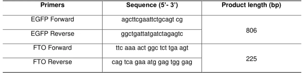 Table 2.1 – Primers sequence used in PCR reaction to EGFP and FTO gene. 