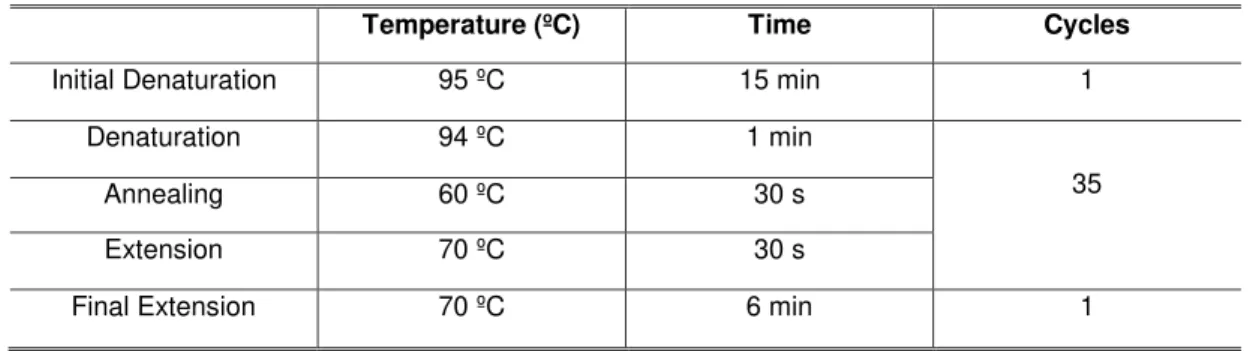 Table 2.3 – Reaction Program to amplify FTO gene. 