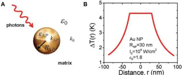 Figure 1.1  –  A) Scheme of an optically driven spherical nanoparticle. B) Temperature increase for a single  AuNP as a function of the distance from its center and with water as surrounding medium