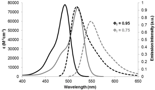 Figure 2.1  –  Absorption and emission spectra of FAM and JOE. Black lines correspond to FAM and grey lines  to  JOE