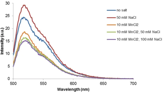Figure  3.4  – Emission spectra (λ exc   =  490  nm)  of  structure  T17  in  10  mM  Tris-HCl  (pH  7.6)  and  different  concentration of MnCl 2  and/or NaCl at 15ºC